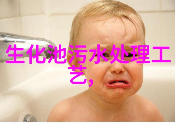 气候变化适应策略研究进展与实践应用