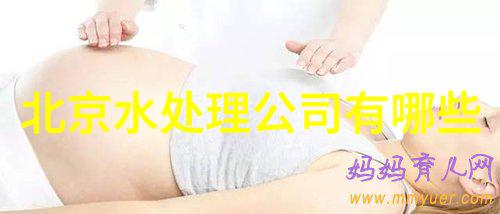 节约粮食标语我的小小行动大大的意义