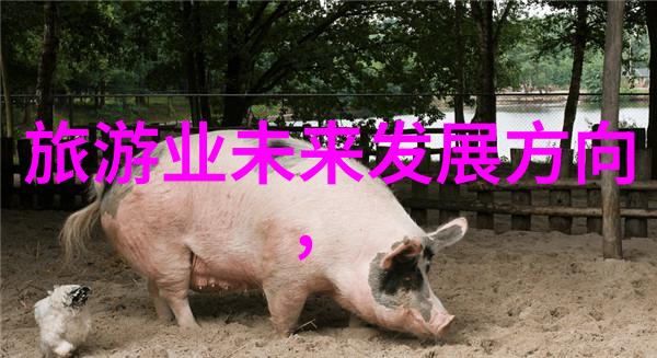 绿色生活指南简单实用的节能低碳环保小知识分享