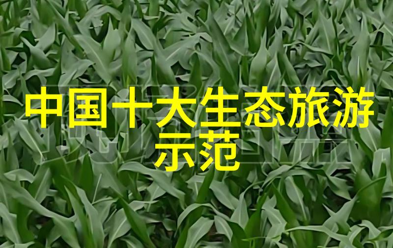 小朋友们的清新梦想绿色校园的守护者