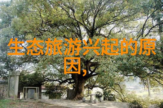 公司是如何通过创新来提升其技术研发能力的