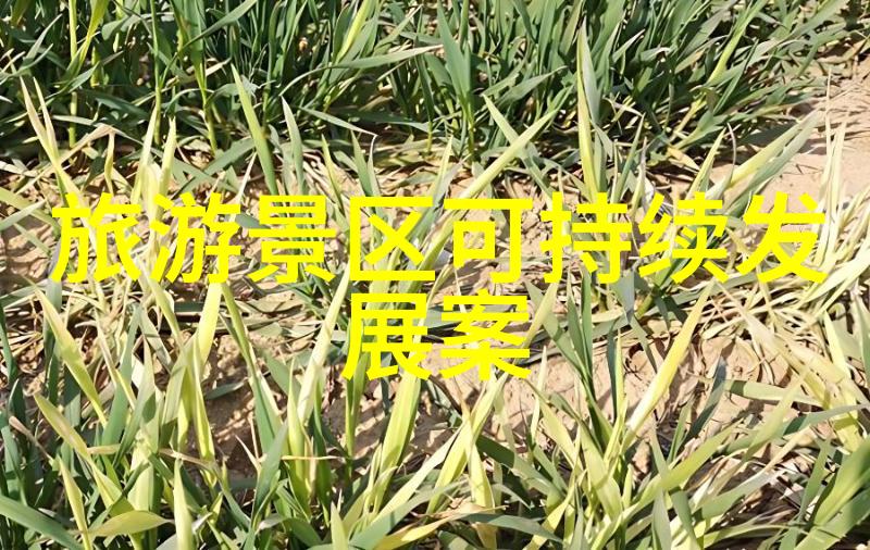 我是怎么知道的我怎么知道压泥机滤布价格这么贵