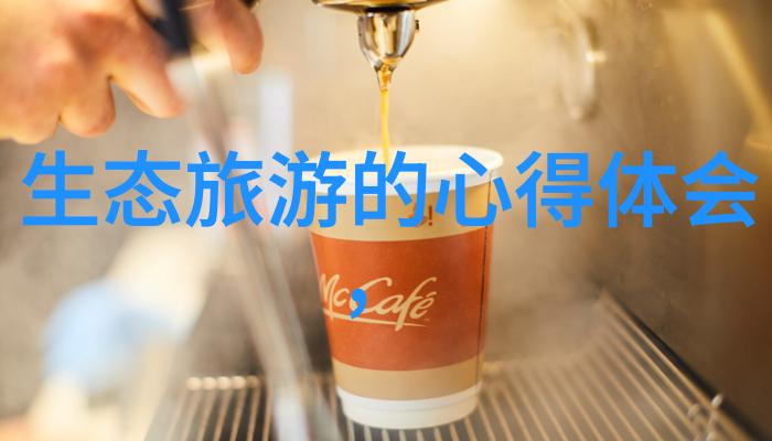 水波纹之舞探秘反冲洗过滤器的内部世界