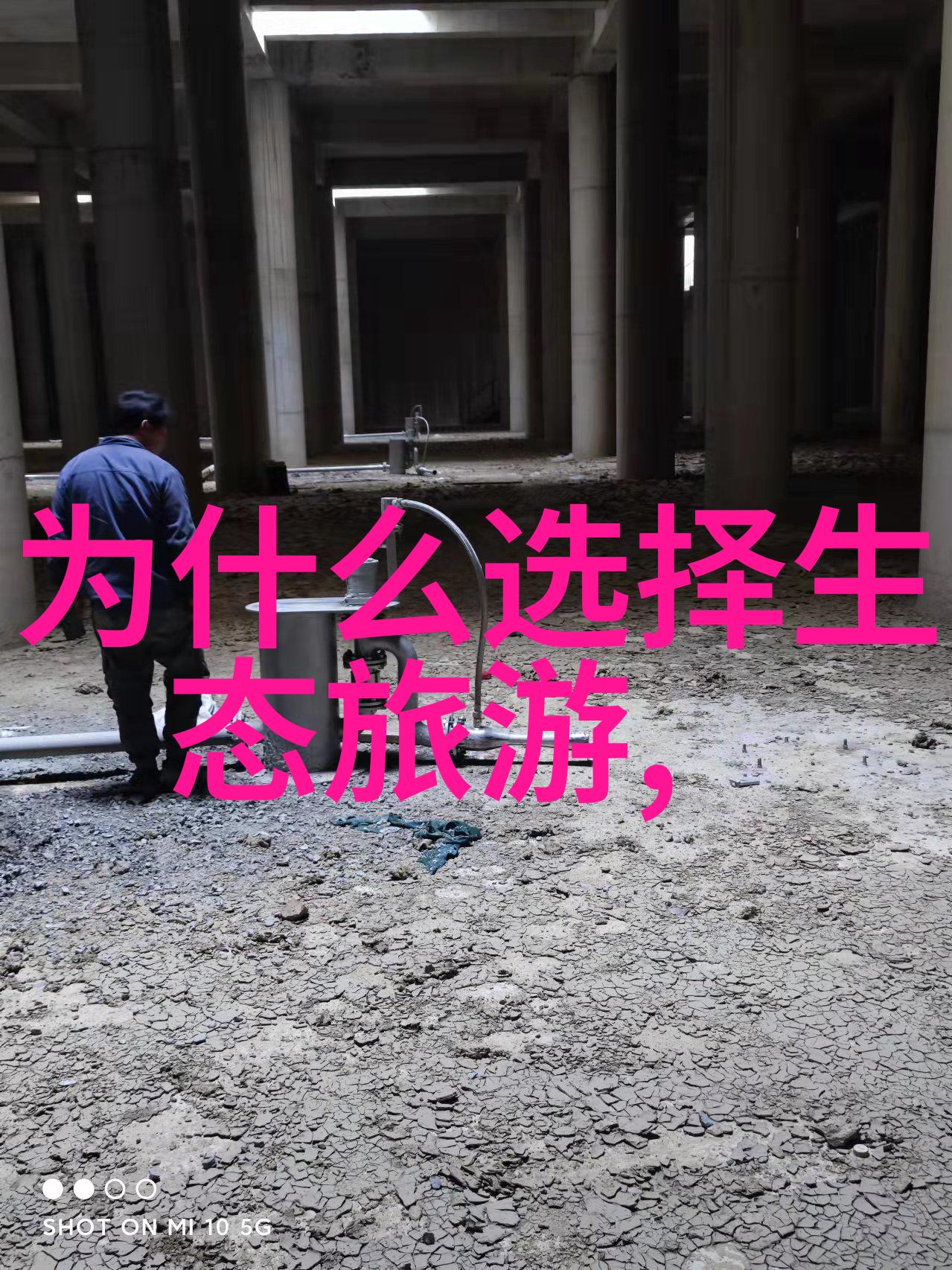为生态文明建设提出建议 - 融合绿色发展的未来蓝图