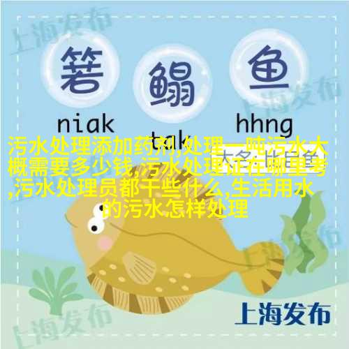 图4: 逆渗透系统清洗能力强