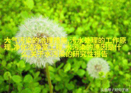 分析天平