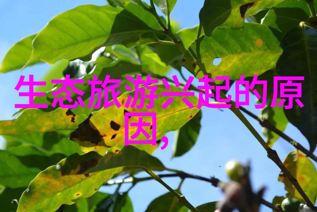 绿色低碳生活节能先行者的行动手抄报