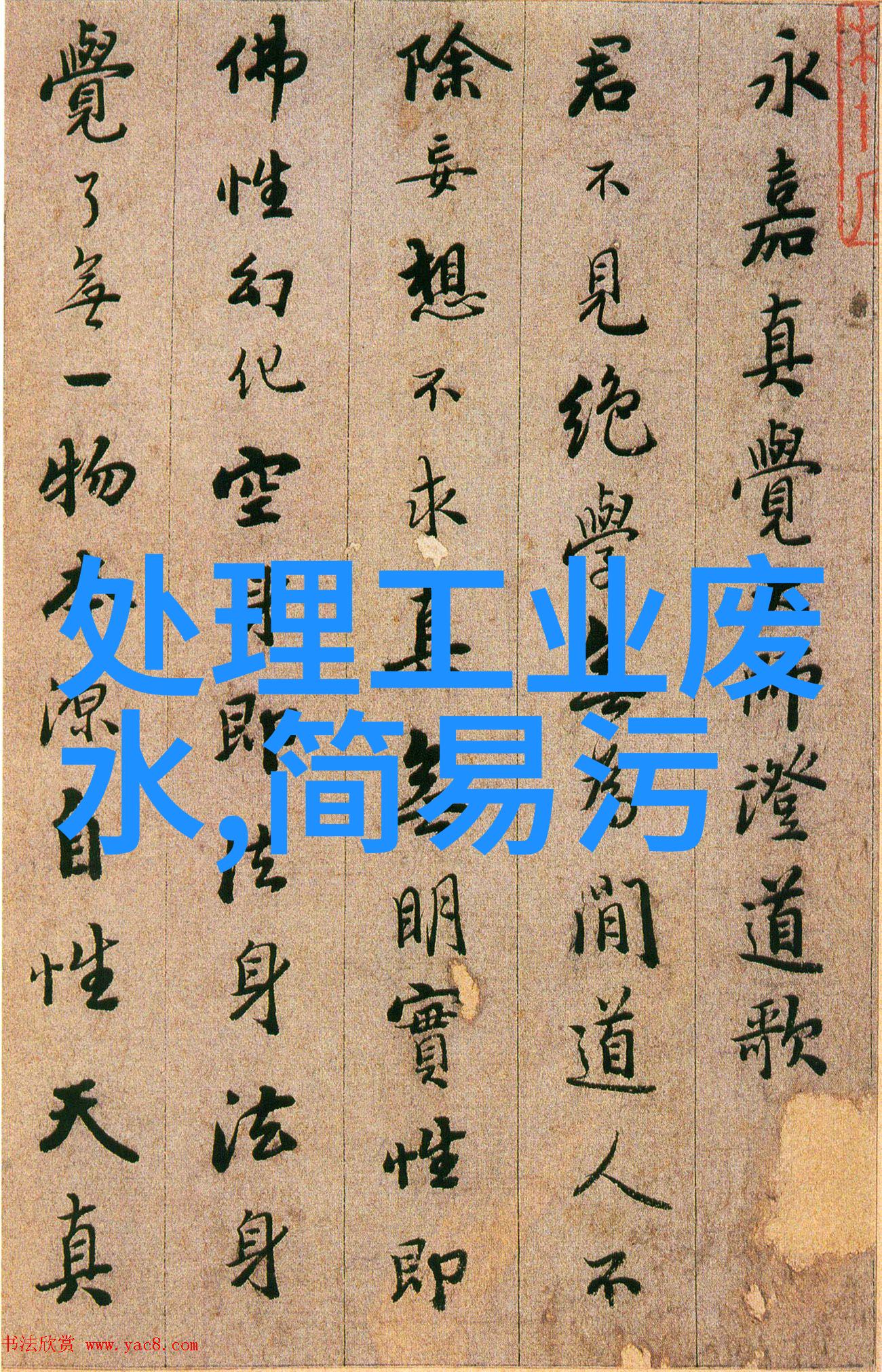 水污染心得体会我的见证与反思