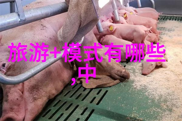 经济腾飞背后的生态代价中国煤炭开采的深远影响