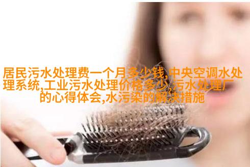 pH计