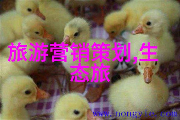 低碳环保小窍门 - 轻松减碳家中每一处的环保智慧