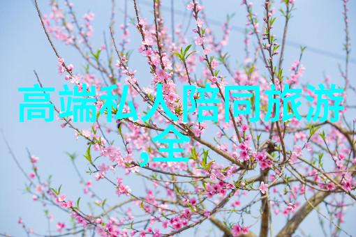 探索仪器分析领域常见仪器与其应用概览