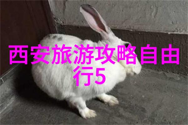 垃圾不乱扔地球不乱摊