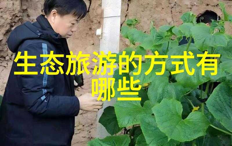 辐射环境监测技术中心的创新之路有哪些亮点
