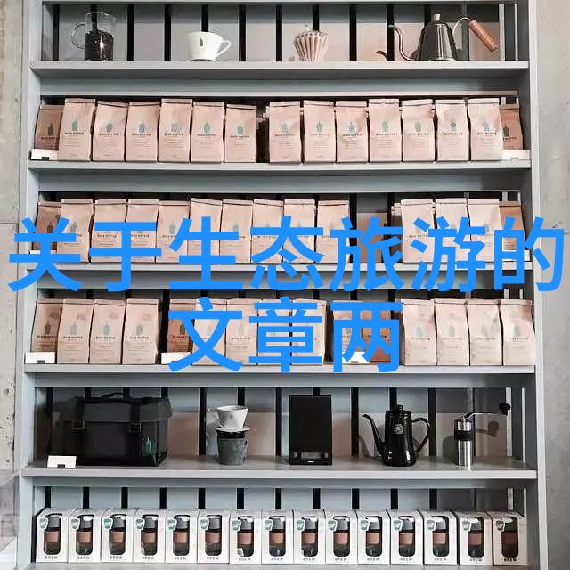 科技的火炬点亮未来发展之光
