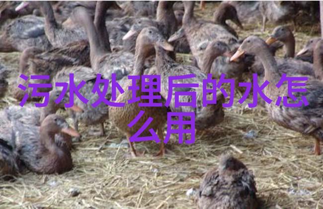 主题我知道你想问的泸沽湖在哪里哪个城市