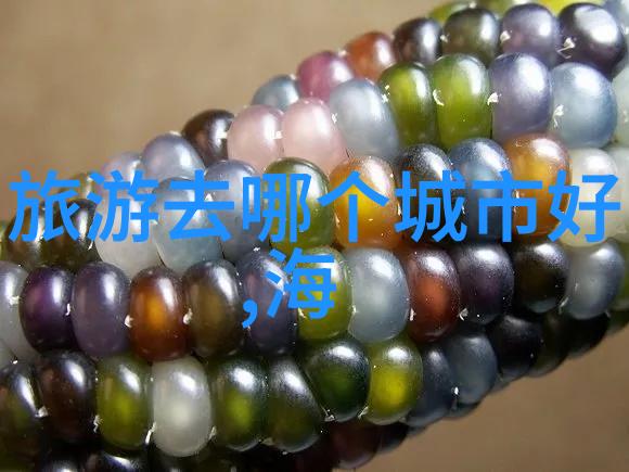 生态美自然之韵与人文和谐的交响曲