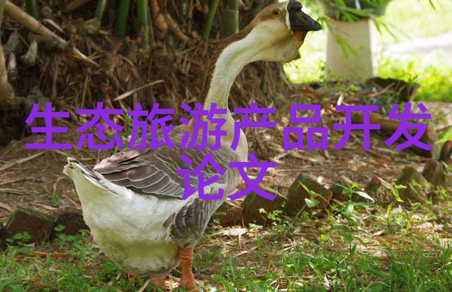 环境友好型旅游项目如何设计
