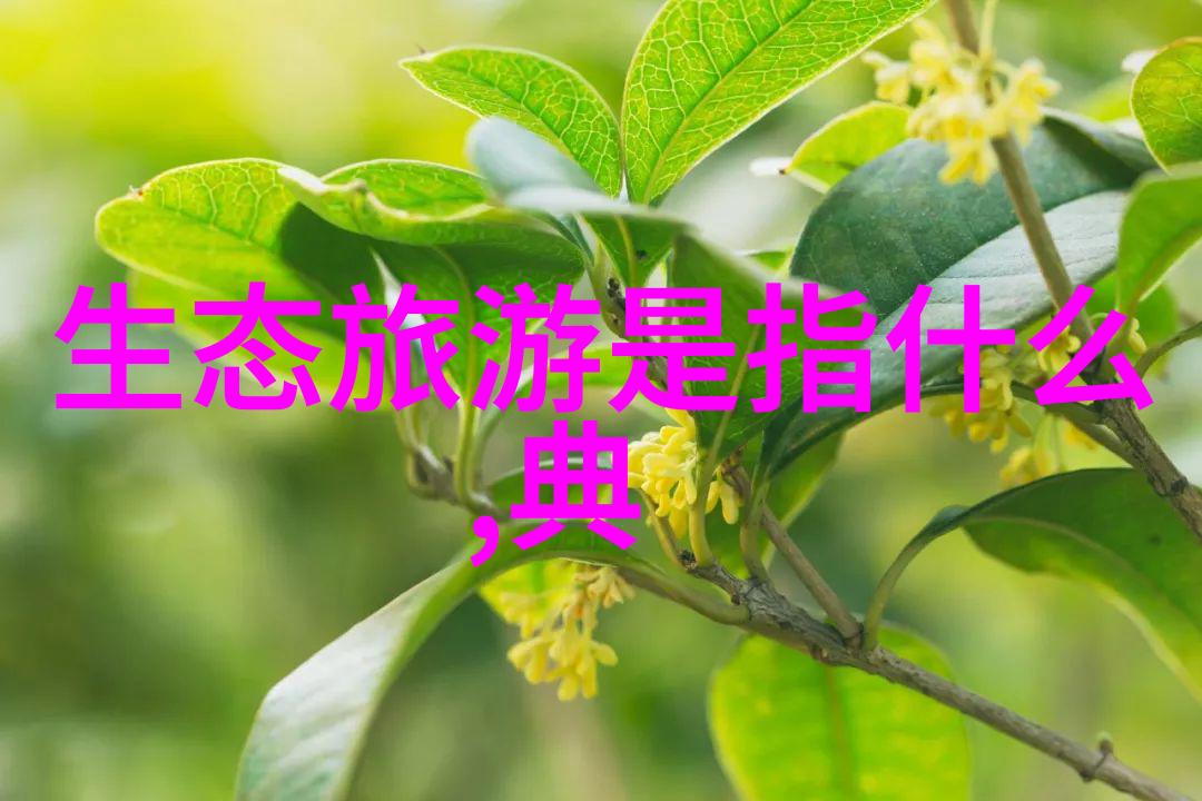 碳排放的双重目标达峰与中和的实践路径