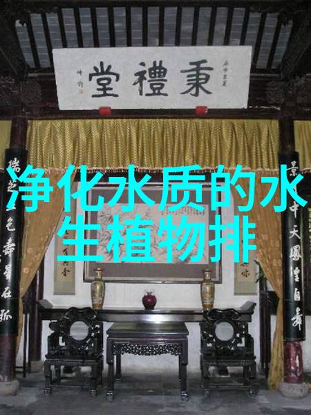 垃圾之舞探索现代城市的固体废物管理艺术