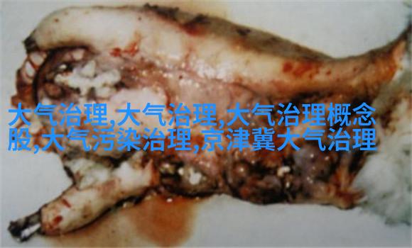 赵妈妈制作剩菜汤