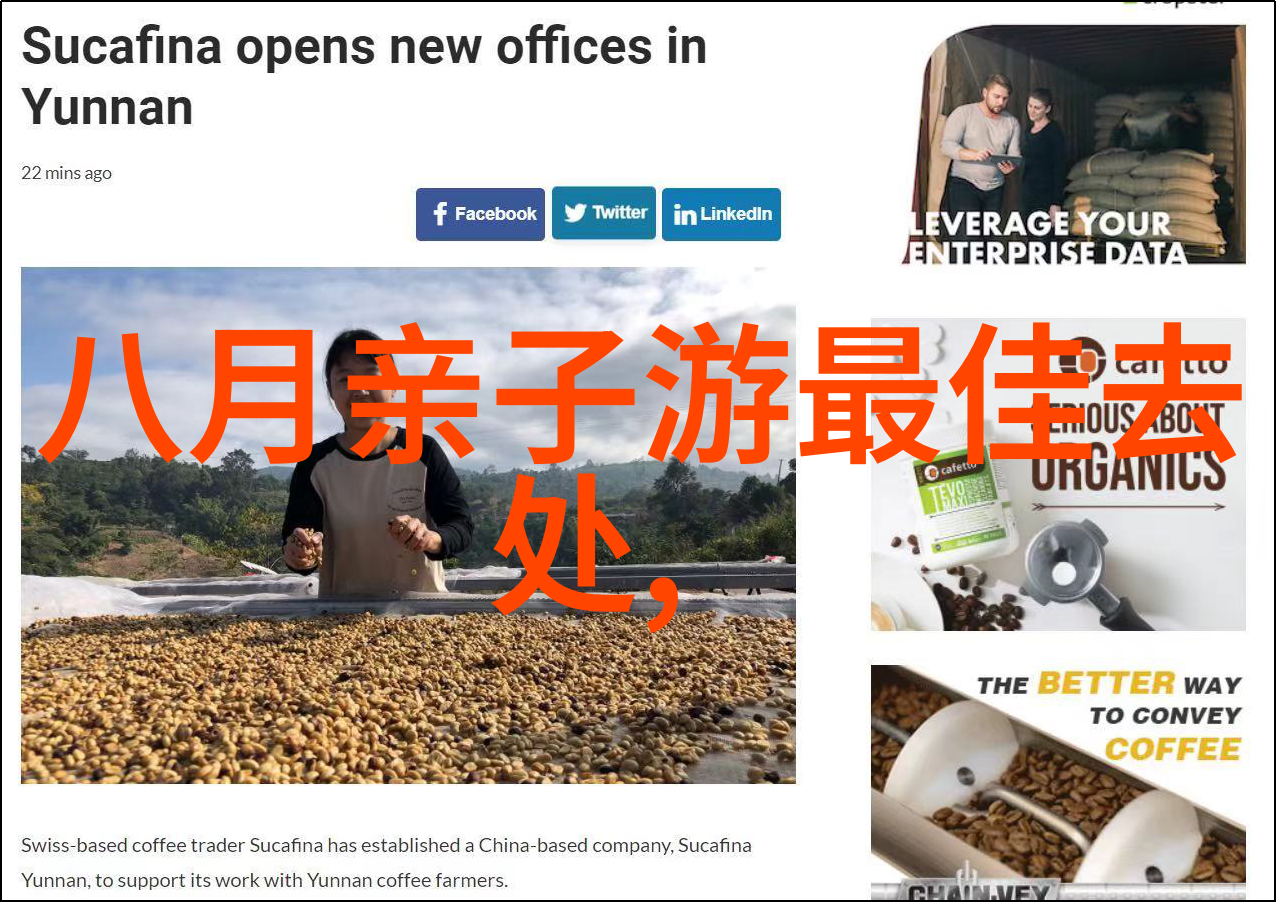 绿色物流革命如何降低供应链碳足迹