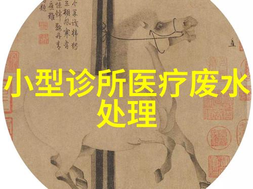 他在下我在开视频分享会的快乐体验