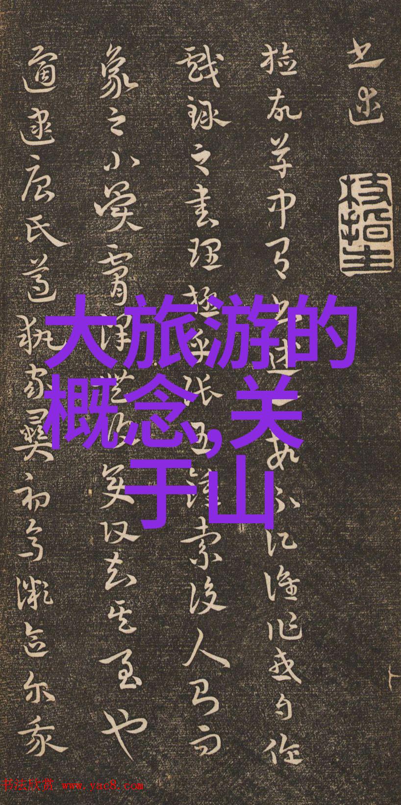 北极的守望者探秘南极奇迹