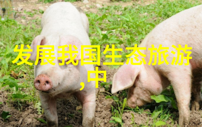 生态旅游项目计划书生态友好型住宿设施的设计要点