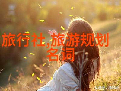 污泥中的秘密农村背后的排水之谜