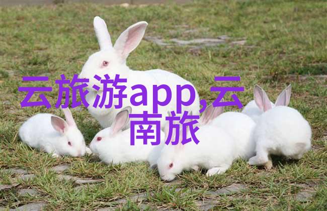 急招污水处理员老板喊我去找个能手来处理这堆乱七八糟的污水
