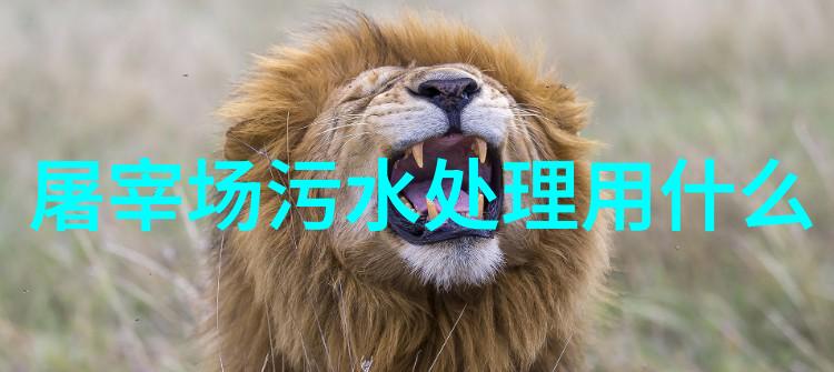 城市污水处理-从源头到终端探索现代城市的清洁未来