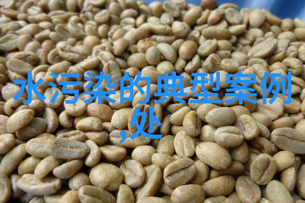过滤水的细腻之美1000目滤网的净化力量