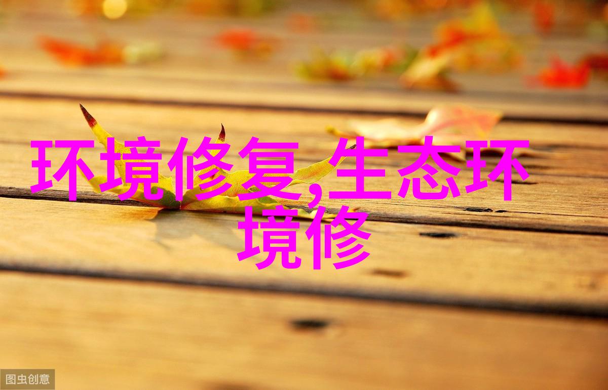 我国生态旅游业面临哪些主要挑战和问题