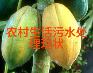 减少废纸守护绿色家园