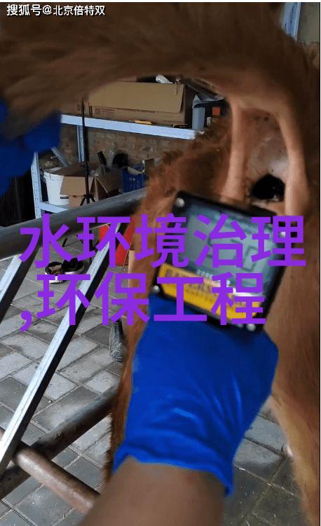 城镇污水处理厂高效生物反应器工艺城镇污水处理的先进生物技术
