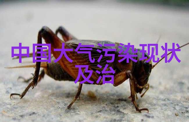 国内旅游胜地前十名我带你去看看这些热门目的地