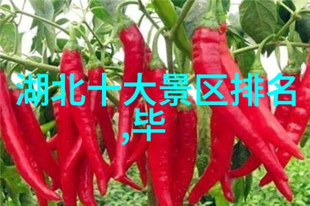 水中奇迹新一代鱼缸清洁神器