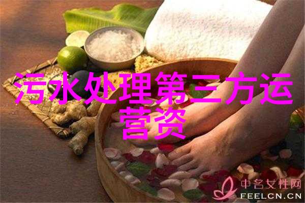 绿色低碳环保的照片-守护地球家园绿色低碳生活的美好瞬间