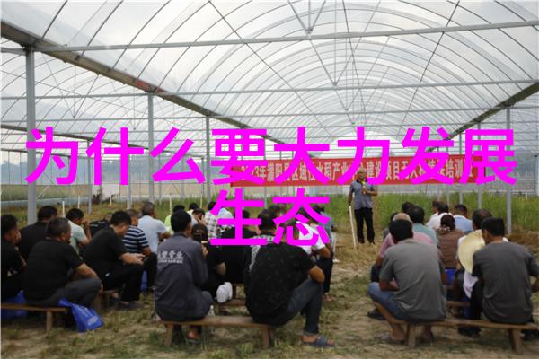 气候变化应对策略团结一心迎接未来的挑战