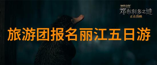 家用前置过滤器安装背后的谜团与未解之谜