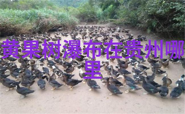 无线环境监测模拟装置虚拟场景下的绿色生态探索