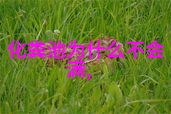过滤器结构图解揭秘快开式水质净化系统