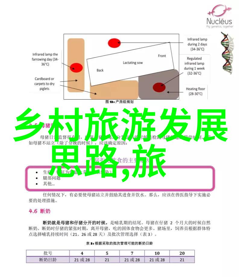 主题我是如何开始我的低碳生活的