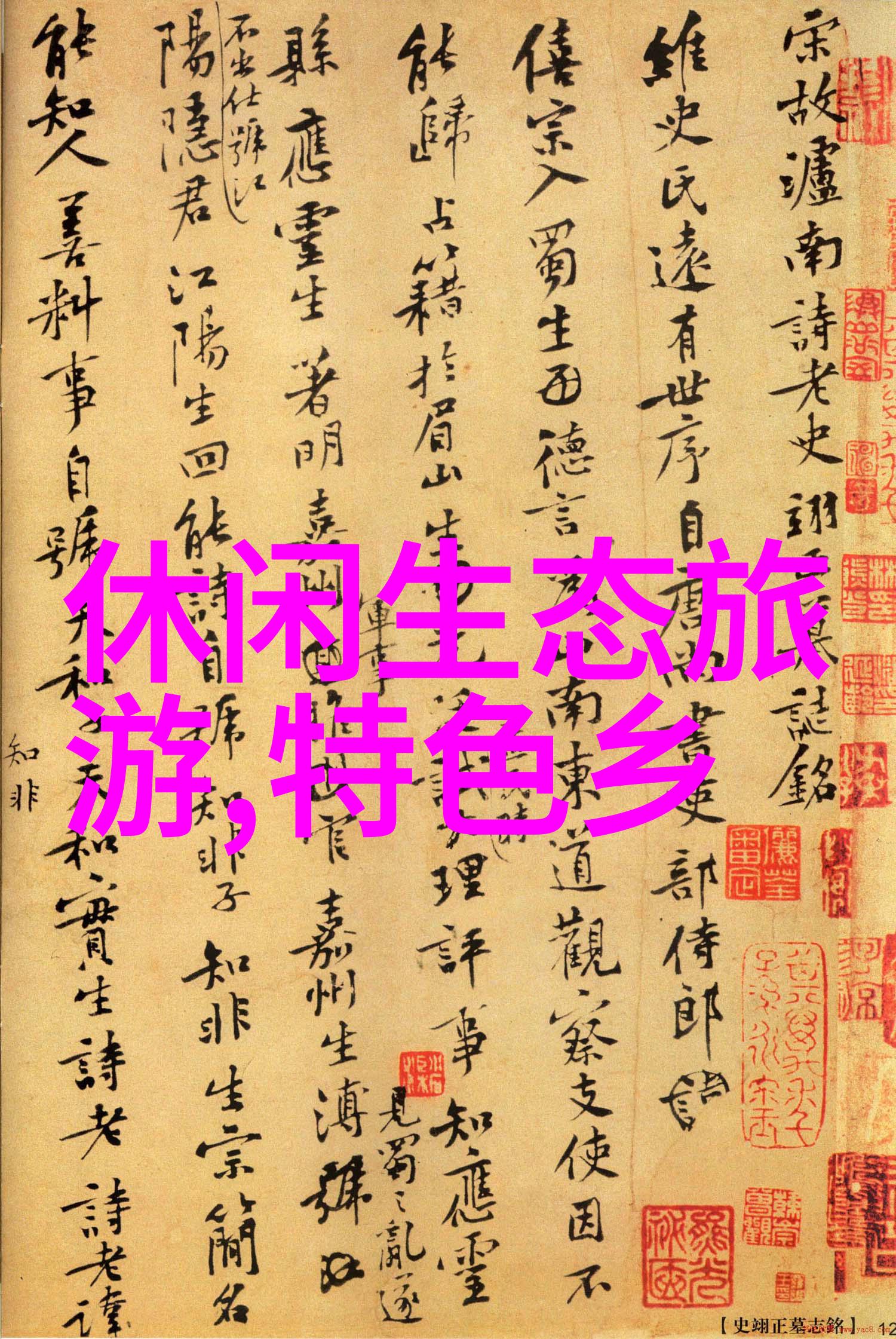 绿意盎然树木的守护者与未来