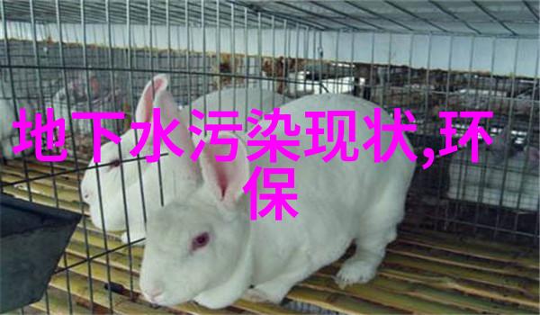 生态旅游我们真的能在享受自然的同时保护它吗