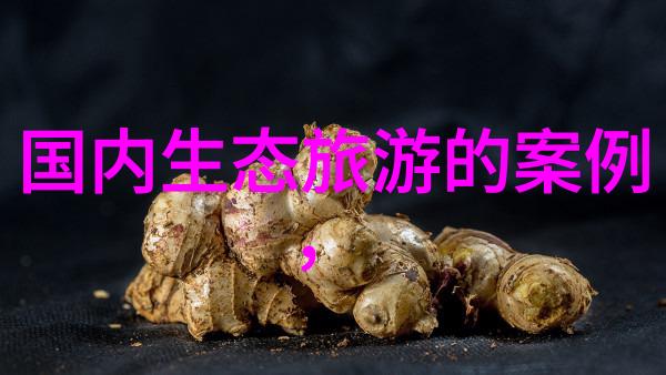 当代大学生如何践行生态文明-绿色生活大学生们的环保实践