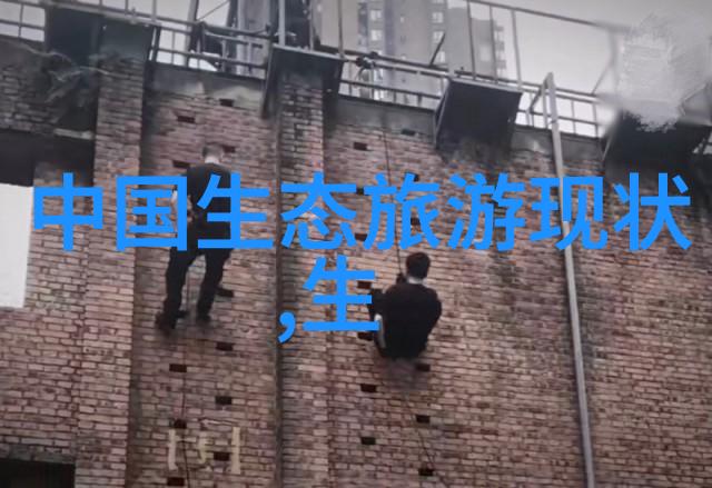 绿色行动校园垃圾分类实践与成效分析