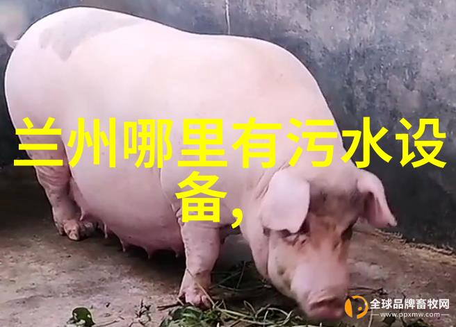 将我们的脚步轻盈地迈入那充满色彩与故事的图画书世界就像探索一片广阔而神秘的地球去发现有关地理的重要知