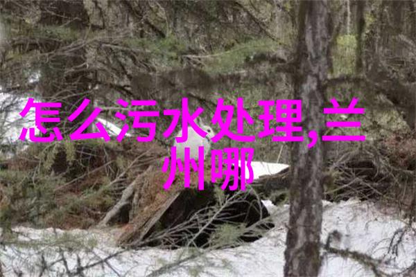 环境监测仪守护蓝图的先锋卫士